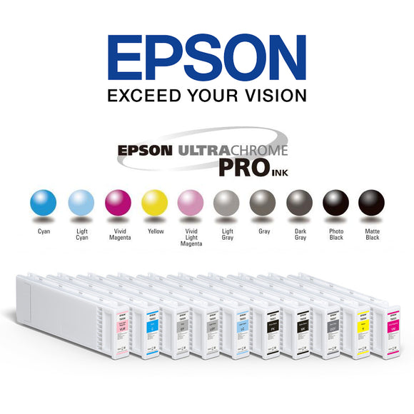 Epson 10070, 20070 Ink Cartridges
